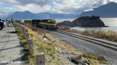 Yellow And Black Train Near Lake GIF
