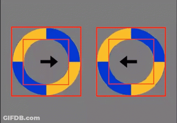 Yellow And Blue Circular Optic GIF