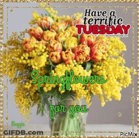 Yellow And Orange Bouquet Have A Terrific Tuesday Springflowers For You GIF