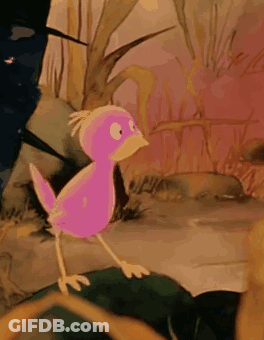 Yellow And Orange Parrot With Black Beak GIF