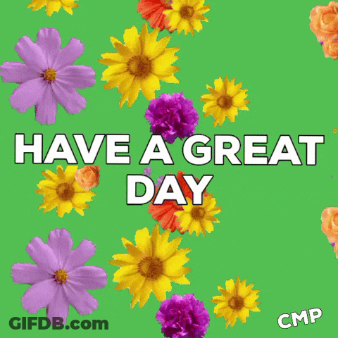 Yellow And Purple Flowers Have A Great Day GIF