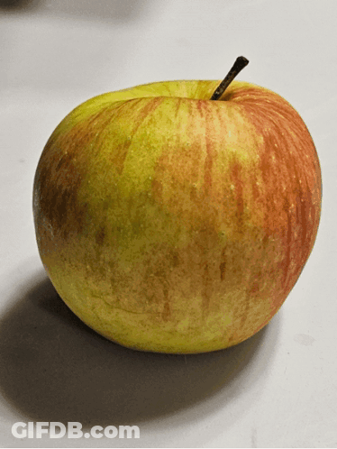 Yellow And Red Apple With Stem GIF