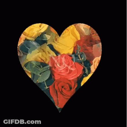 Yellow And Red Rose Heart With Letter N GIF
