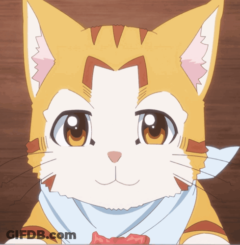 Yellow And White Cat With Scarf GIF