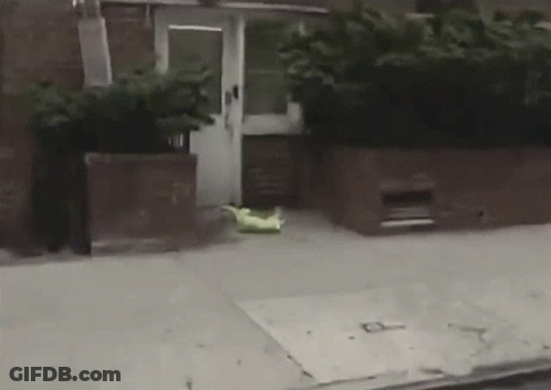 Yellow Bag On Sidewalk GIF