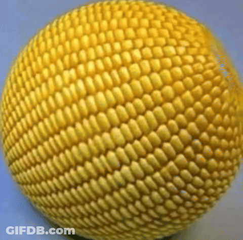 Yellow Ball Resembling Corn On The Cob GIF