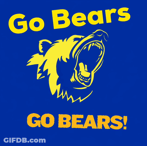 Yellow Bear On Blue Background Saying Go Bears GIF