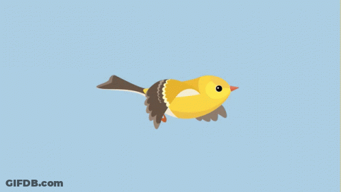 Yellow Bird Flying With Wings Spread GIF