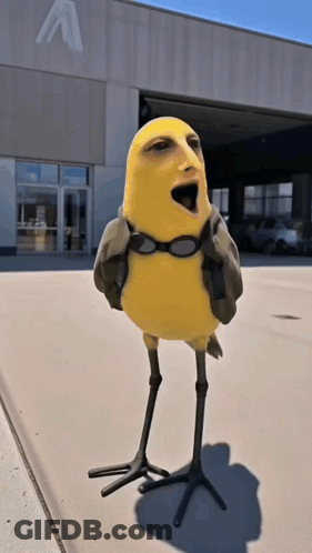 Yellow Bird In Goggles And Jacket At Building With Letter A GIF