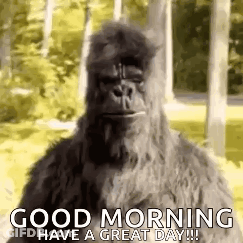 Yellow Bird Sitting On Branch Love Ya Good Morning GIF