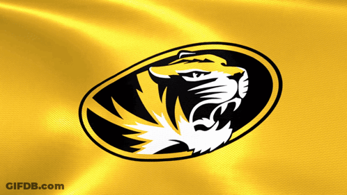 Yellow Black Tiger Head GIF