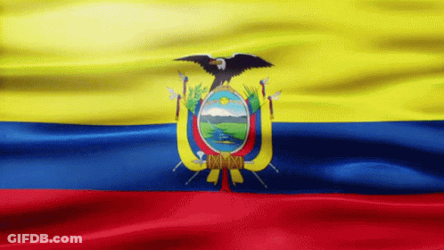 Yellow Blue Red Flag Saying Ecuador GIF