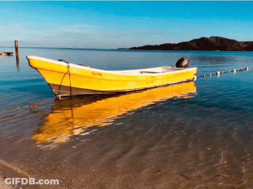 Yellow Boat Saying Dolphin GIF
