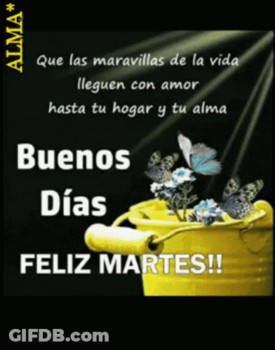 Yellow Bucket With Flowers And Butterflies Buenos Dias Feliz Martes GIF