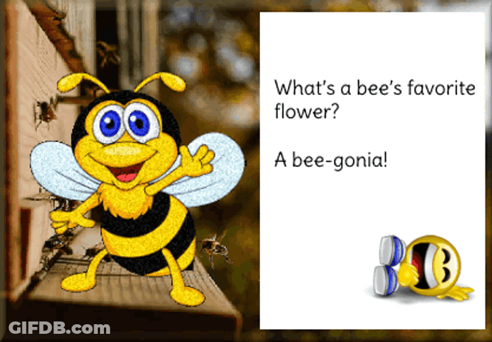 Yellow Bumblebee Beegonia GIF