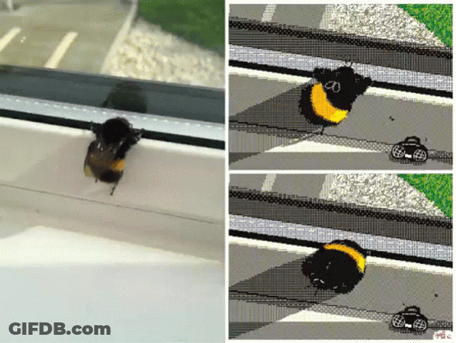 Yellow Bumblebee Booty Dancing GIF