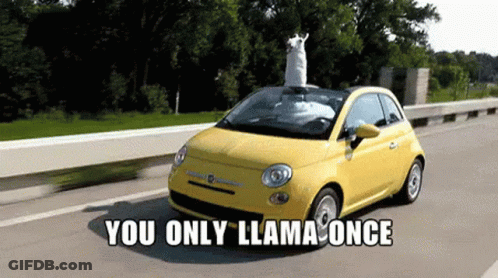 Yellow Car With Llama You Only Llama Once GIF