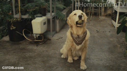 Yellow Cartoon Character Close Up GIF