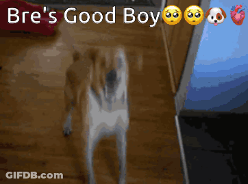 Yellow Cartoon Saying Yes Mommy Im A Good Boy GIF
