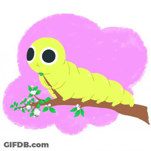 Yellow Caterpillar Eating Leaves GIF