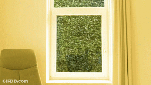 Yellow Chair In Front Of Window With Bush GIF