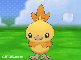 Yellow Chicken With Orange Feathers GIF