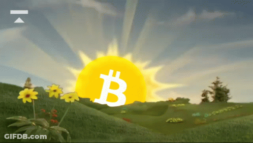 Yellow Coin With White Letter B GIF