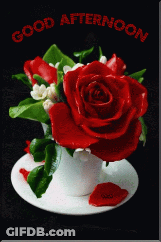 Yellow Daisies In White Vase Saying Good Afternoon GIF