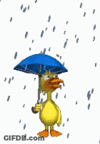 Yellow Duck Holding Umbrella In Rain GIF