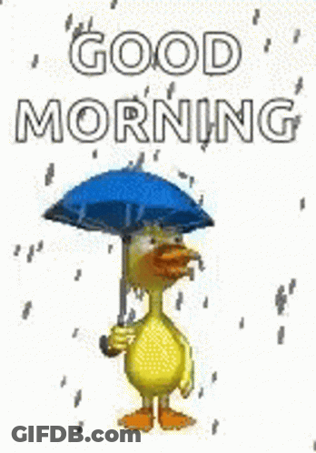 Yellow Duck Holding Umbrella In Rain GIF