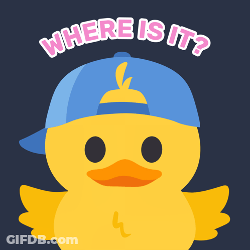 Yellow Duck In Blue Hat Saying Where Is It GIF