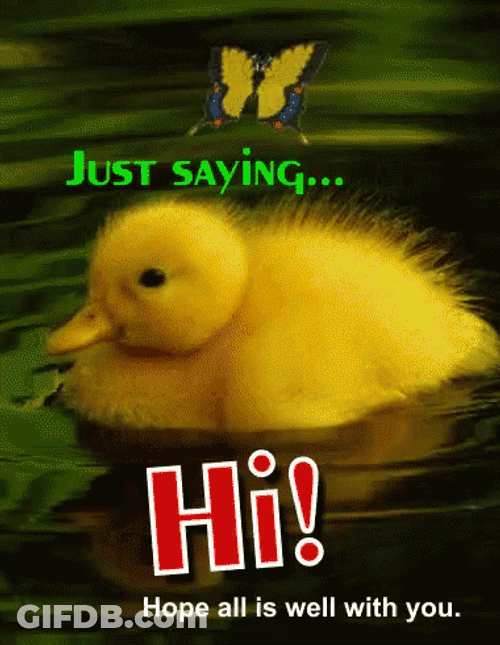 Yellow Duck Just Saying Hi GIF