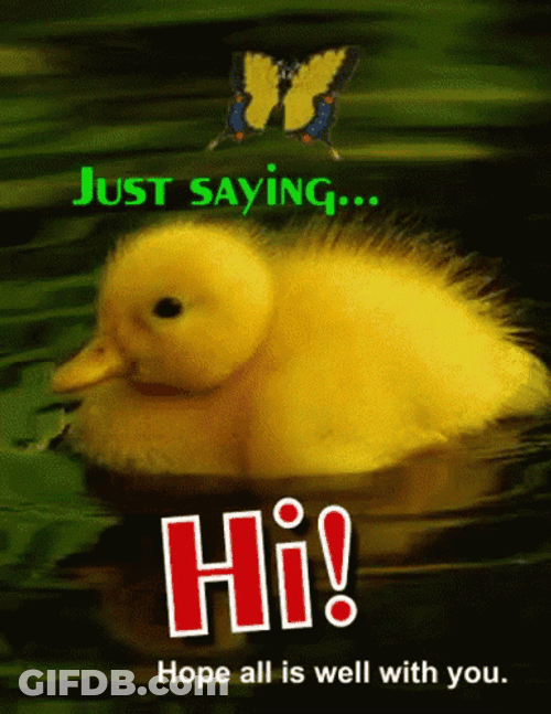 Yellow Duck Just Saying Hi GIF