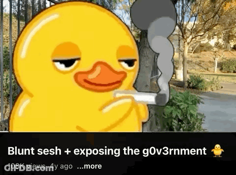 Yellow Duck Smoking Cigarette GIF