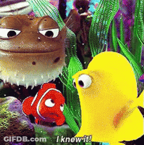 Yellow Fish I Knew It GIF