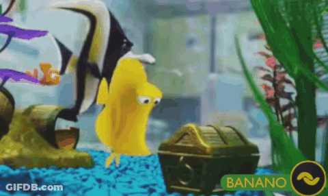 Yellow Fish Looking At Treasure Chest With Bananano GIF