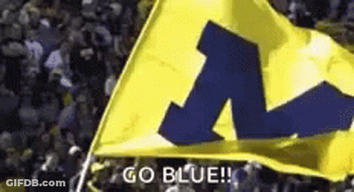 Yellow Flag With Blue M Waved In Crowd GIF