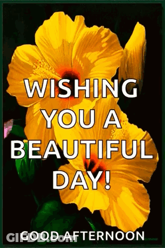 Yellow Flower Good Afternoon GIF