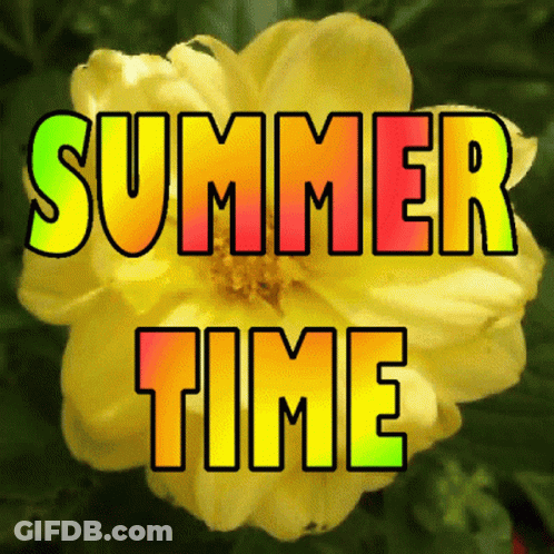 Yellow Flower Summer Time GIF