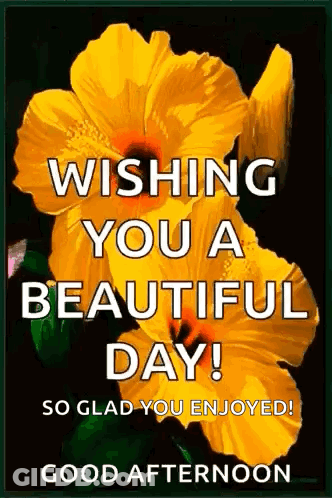 Yellow Flower Wishing You A Beautiful Day GIF