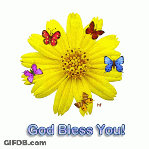 Yellow Flower With Butterflies God Bless You GIF