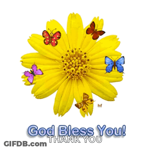 Yellow Flower With Butterflies Saying God Bless You GIF
