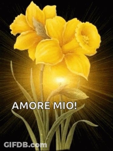 Yellow Flowers GIF