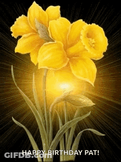 Yellow Flowers Happy Birthday Pat GIF