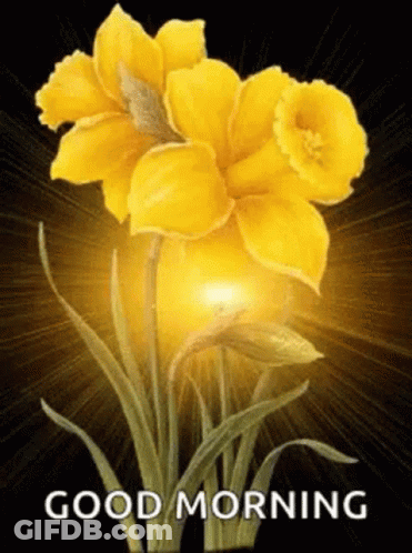 Yellow Flowers Saying Good Morning GIF