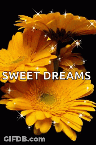 Yellow Flowers With Sweet Dreams GIF