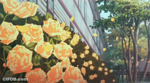 Yellow Flowers GIF