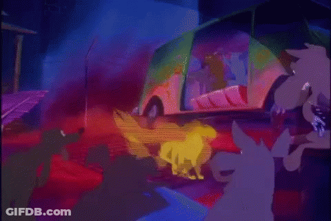 Yellow Fox Standing Among Cats GIF