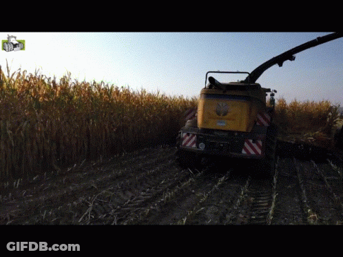Yellow New Holland Tractor Cutting Corn GIF