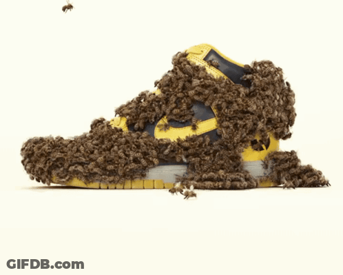 Yellow Nike Shoe Covered In Bees And Flies GIF